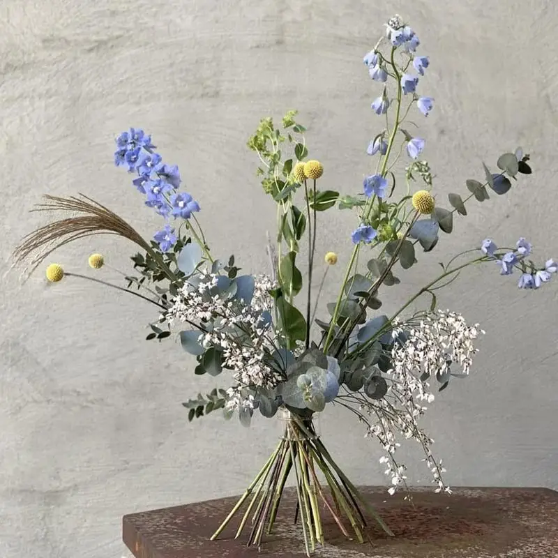 Spiral Ikebana kök tutucu sağl - Ikebana Vase Kenzan incelemesi ve fiyatı