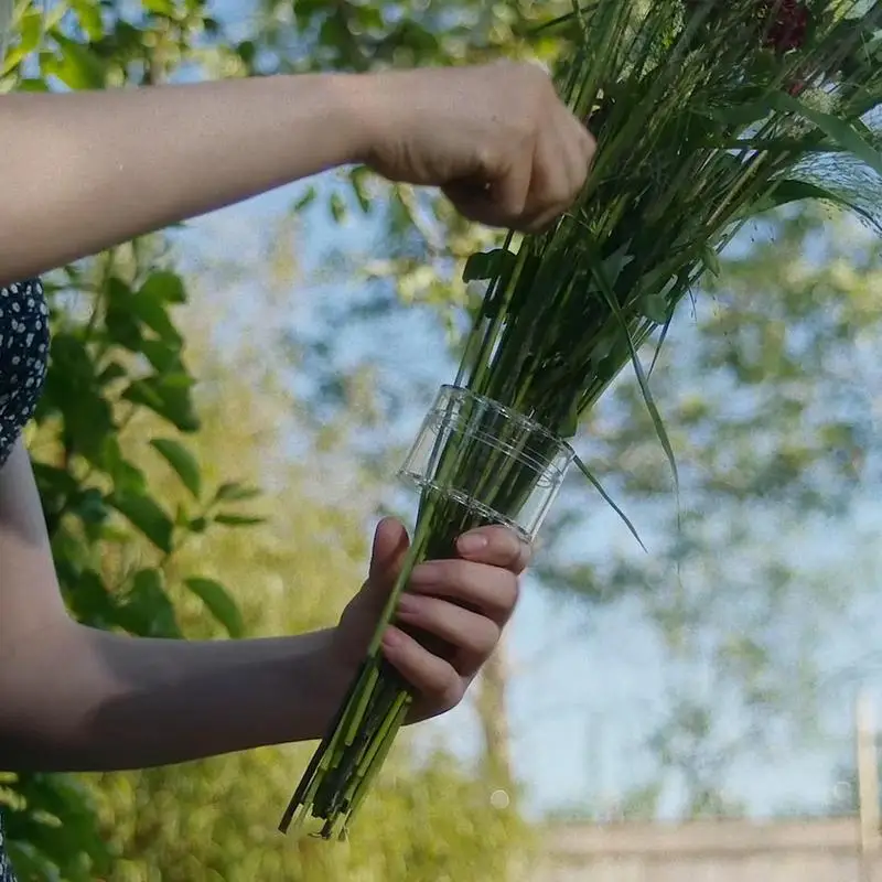 Spiral Ikebana kök tutucu sağl - Ikebana Vase Kenzan incelemesi ve fiyatı