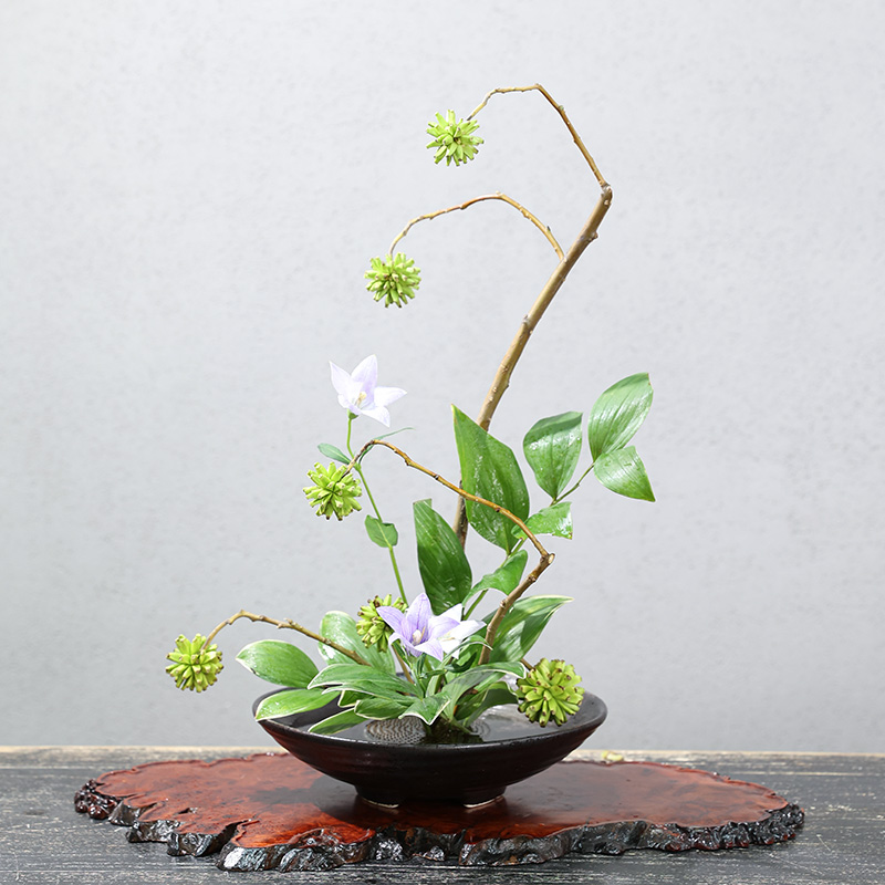 Japon kurbağa vazo seramik buk - Ikebana Vase Kenzan incelemesi ve fiyatı