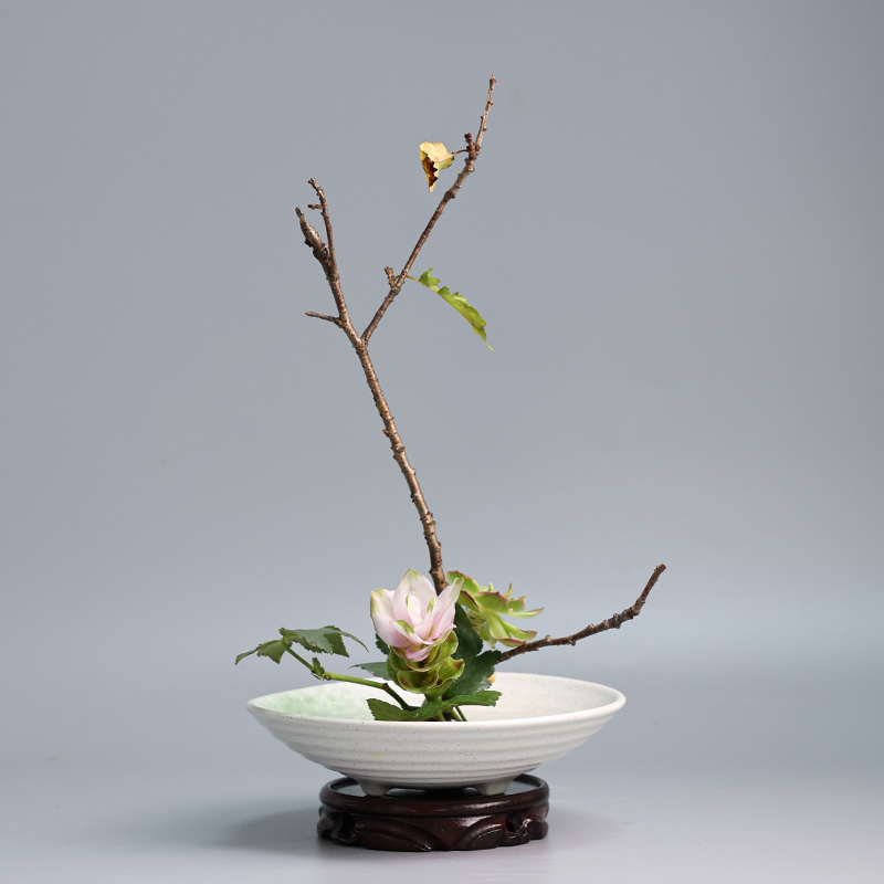Japon kurbağa vazo seramik buk - Ikebana Vase Kenzan incelemesi ve fiyatı