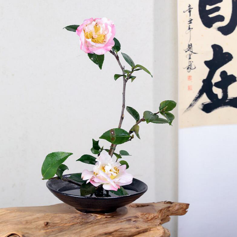 Japon kurbağa vazo seramik buk - Ikebana Vase Kenzan incelemesi ve fiyatı
